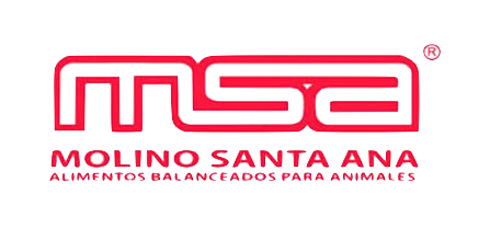 msa